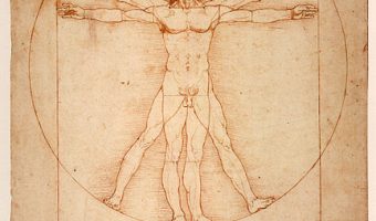 L'Homme de Vitruve - Leonardo de Vinci