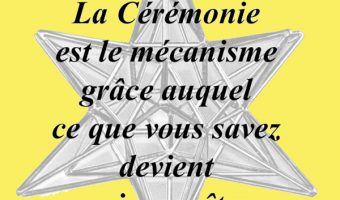 Extrait du Manuel Le Template